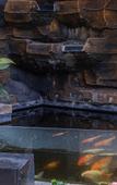 Туры в отель Amartha Indotama Private Villa Туры в отель Amartha Indotama Private Villa