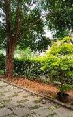 Туры в отель Twin Guest House Grand Wisata Туры в отель Twin Guest House Grand Wisata