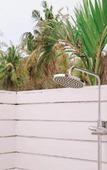 Туры в отель Love Coconut Bungalow Туры в отель Love Coconut Bungalow