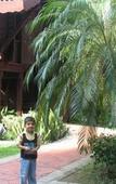 Туры в отель Pelangi Beach Resort & Spa Туры в отель Pelangi Beach Resort & Spa
