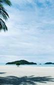 Туры в отель Pelangi Beach Resort & Spa Туры в отель Pelangi Beach Resort & Spa