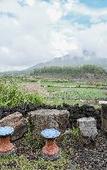 Туры в отель Volcano Cabin Batur RedPartner Туры в отель Volcano Cabin Batur RedPartner