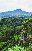 Туры в отель Family Guest House Lembang RedPartner Туры в отель Family Guest House Lembang RedPartner