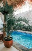 Туры в отель Gamaya Villa Jogja With Private pool Туры в отель Gamaya Villa Jogja With Private pool