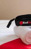 Туры в отель Family Residence Mitra RedDoorz Туры в отель Family Residence Mitra RedDoorz