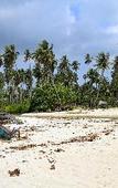 Туры в отель Kawaland Glamping Resort Туры в отель Kawaland Glamping Resort