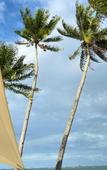 Туры в отель Kawaland Glamping Resort Туры в отель Kawaland Glamping Resort