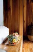 Туры в отель Dejama Glamping Resort Lombok Туры в отель Dejama Glamping Resort Lombok
