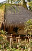 Туры в отель Dejama Glamping Resort Lombok Туры в отель Dejama Glamping Resort Lombok