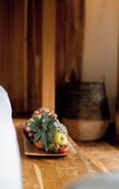 Туры в отель Dejama Glamping Resort Lombok Туры в отель Dejama Glamping Resort Lombok