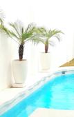Туры в отель Floraison Living Villa Yogyakarta Туры в отель Floraison Living Villa Yogyakarta