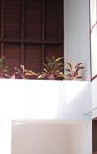 Туры в отель Floro Villa Canggu by Dhananjaya Hospitality Туры в отель Floro Villa Canggu by Dhananjaya Hospitality