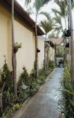 Туры в отель Alankara Villa and Spa by Mahaprana Туры в отель Alankara Villa and Spa by Mahaprana