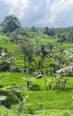 Туры в отель Saridevi Ecolodge Bali Туры в отель Saridevi Ecolodge Bali