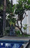 Туры в отель Casamia Homestay Туры в отель Casamia Homestay