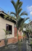 Туры в отель Mongan Homestay Beside The Belulang Hot Spring Туры в отель Mongan Homestay Beside The Belulang Hot Spring
