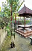Туры в отель Mongan Homestay Beside The Belulang Hot Spring Туры в отель Mongan Homestay Beside The Belulang Hot Spring