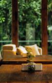 Туры в отель The Setumbu Experience ARTOTEL Curated Туры в отель The Setumbu Experience ARTOTEL Curated