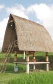 Туры в отель Swaha Retreat & Eco Park Ubud Туры в отель Swaha Retreat & Eco Park Ubud