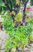 Туры в отель Collection O Sanur Near Bali Exotic Marine Park Туры в отель Collection O Sanur Near Bali Exotic Marine Park