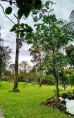 Туры в отель Natural Hill Cisarua Туры в отель Natural Hill Cisarua