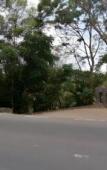 Туры в отель Natural Hill Cisarua Туры в отель Natural Hill Cisarua