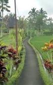 Туры в отель Padi Bali Retreat Туры в отель Padi Bali Retreat