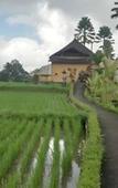 Туры в отель Padi Bali Retreat Туры в отель Padi Bali Retreat