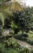 Туры в отель Padi Bali Retreat Туры в отель Padi Bali Retreat