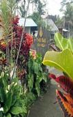 Туры в отель Padi Bali Retreat Туры в отель Padi Bali Retreat