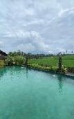 Туры в отель Padi Bali Retreat Туры в отель Padi Bali Retreat