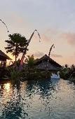Туры в отель Padi Bali Retreat Туры в отель Padi Bali Retreat