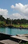 Туры в отель Padi Bali Retreat Туры в отель Padi Bali Retreat