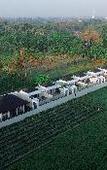 Туры в отель Ubu Villa Amarta Туры в отель Ubu Villa Amarta