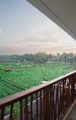 Туры в отель Ubu Villa Amarta Туры в отель Ubu Villa Amarta