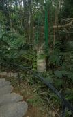 Туры в отель Sacred Canyon Ubud by GenuineHost Туры в отель Sacred Canyon Ubud by GenuineHost