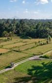 Туры в отель Sacred Canyon Ubud by GenuineHost Туры в отель Sacred Canyon Ubud by GenuineHost