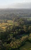 Туры в отель Sacred Canyon Ubud by GenuineHost Туры в отель Sacred Canyon Ubud by GenuineHost