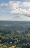 Туры в отель Sacred Canyon Ubud by GenuineHost Туры в отель Sacred Canyon Ubud by GenuineHost