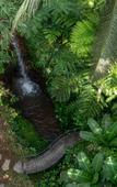 Туры в отель Sacred Canyon Ubud by GenuineHost Туры в отель Sacred Canyon Ubud by GenuineHost