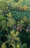 Туры в отель Sacred Canyon Ubud by GenuineHost Туры в отель Sacred Canyon Ubud by GenuineHost