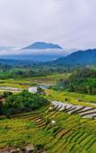 Туры в отель Taman Swarga Villa Resort & Spa Sidemen Туры в отель Taman Swarga Villa Resort & Spa Sidemen