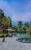 Туры в отель Hoshi Jungle Resort by Dhananjaya Hospitality Туры в отель Hoshi Jungle Resort by Dhananjaya Hospitality