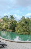 Туры в отель Hoshi Jungle Resort by Dhananjaya Hospitality Туры в отель Hoshi Jungle Resort by Dhananjaya Hospitality