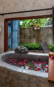 Туры в отель Hoshi Jungle Resort by Dhananjaya Hospitality Туры в отель Hoshi Jungle Resort by Dhananjaya Hospitality
