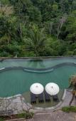 Туры в отель Hoshi Jungle Resort by Dhananjaya Hospitality Туры в отель Hoshi Jungle Resort by Dhananjaya Hospitality