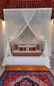 Туры в отель Hoshi Jungle Resort by Dhananjaya Hospitality Туры в отель Hoshi Jungle Resort by Dhananjaya Hospitality