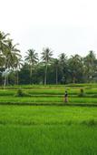Туры в отель Hening Suite Ubud Туры в отель Hening Suite Ubud