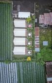Туры в отель Asasta Kintamani Villa Туры в отель Asasta Kintamani Villa