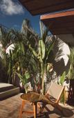 Туры в отель SIVANA, Hotel Boutique with ocean or garden views - Adults only Туры в отель SIVANA, Hotel Boutique with ocean or garden views - Adults only
